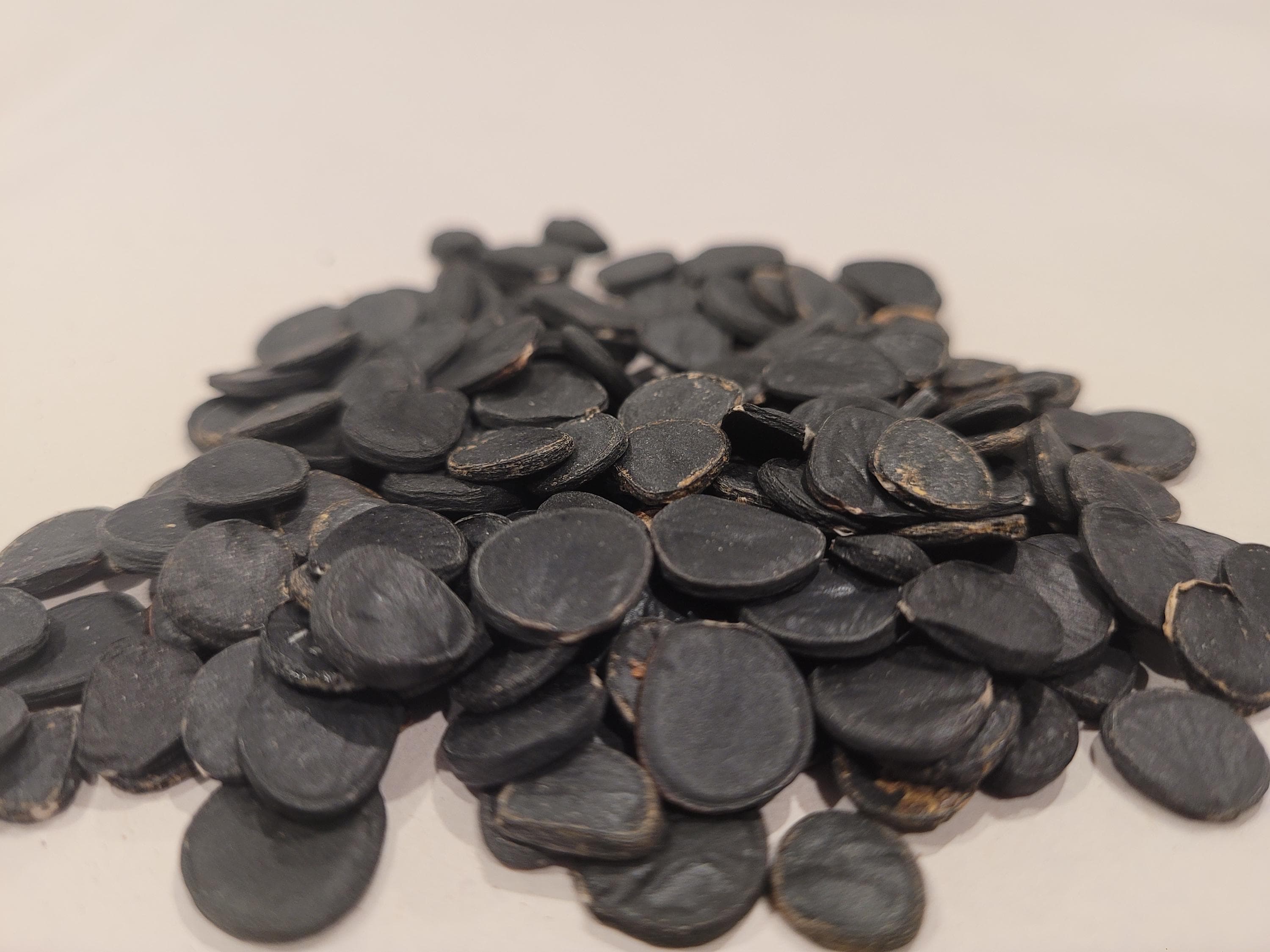 Yucca Brevifolia Seeds | Joshua Tree Mojave Desert Native