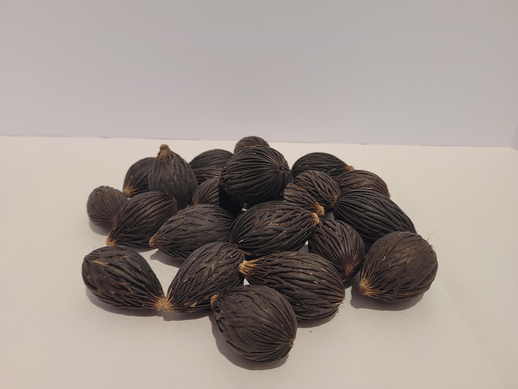 Foxtail Palm Seed