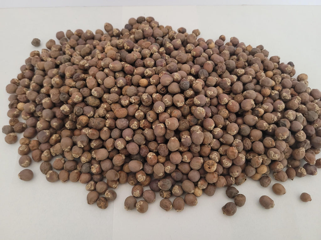 Cold Tolerant Palm Seed Bundle