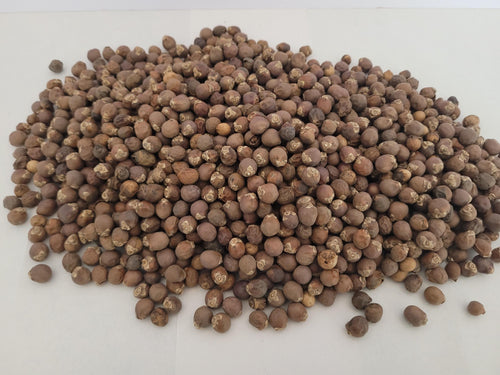 Cold Tolerant Palm Seed Bundle