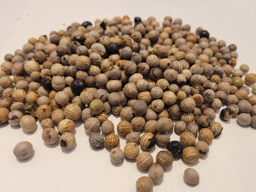 Bamboo/Reed Palm Seed